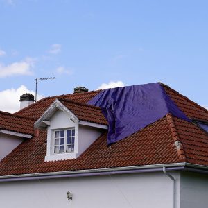 tarping-services