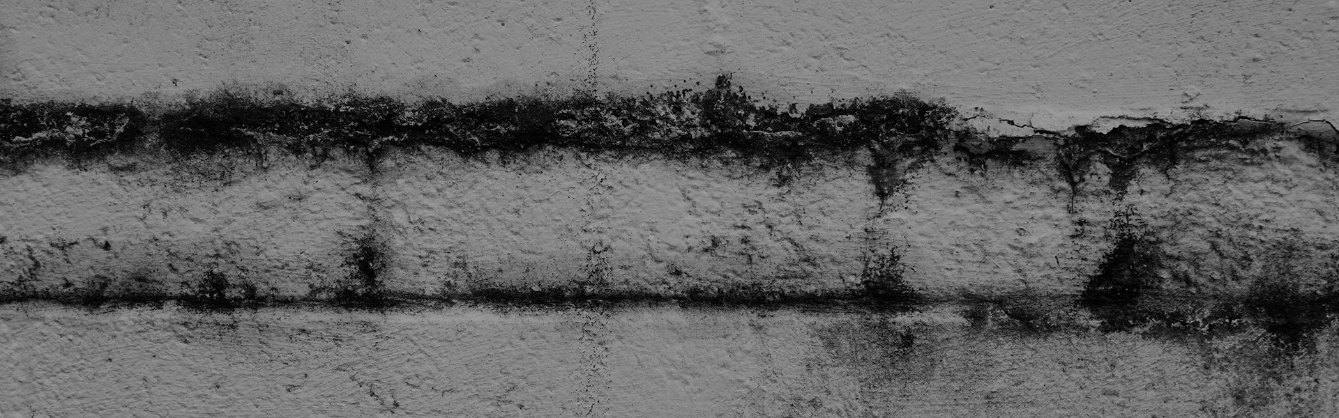 How to Get Rid of Mould in Your Home: A Complete Guide from 24/7 Emergency Services