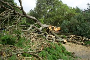 Storm Damage Repair Penrith