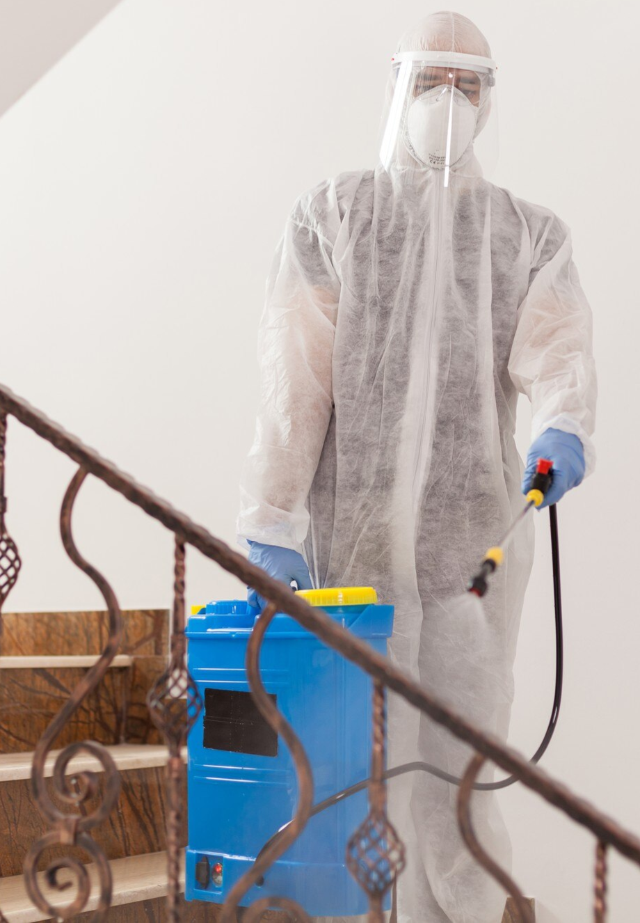 Mould Remediation Saint Marys