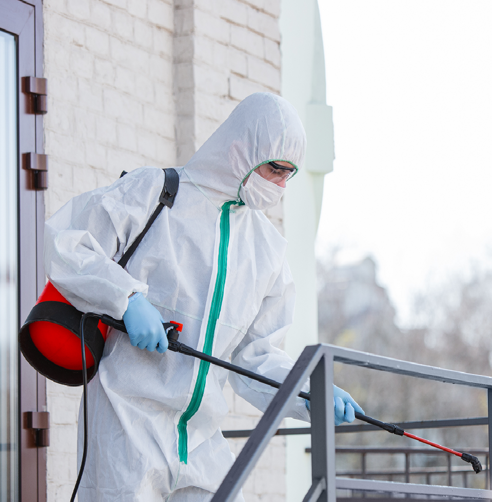 Mould Remediation