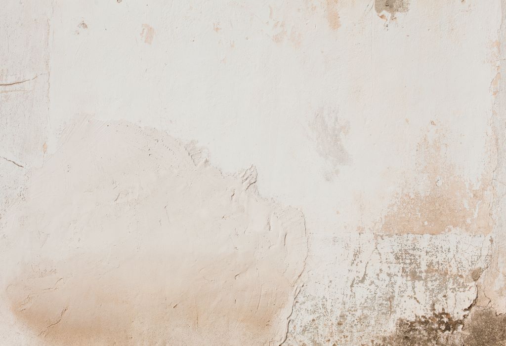 Mould Remediation Saint Marys